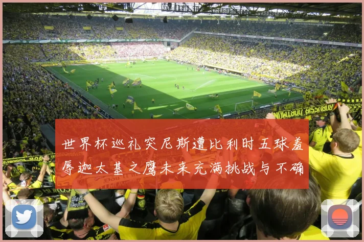 世界杯巡礼突尼斯遭比利时五球羞辱迦太基之鹰未来充满挑战与不确定性